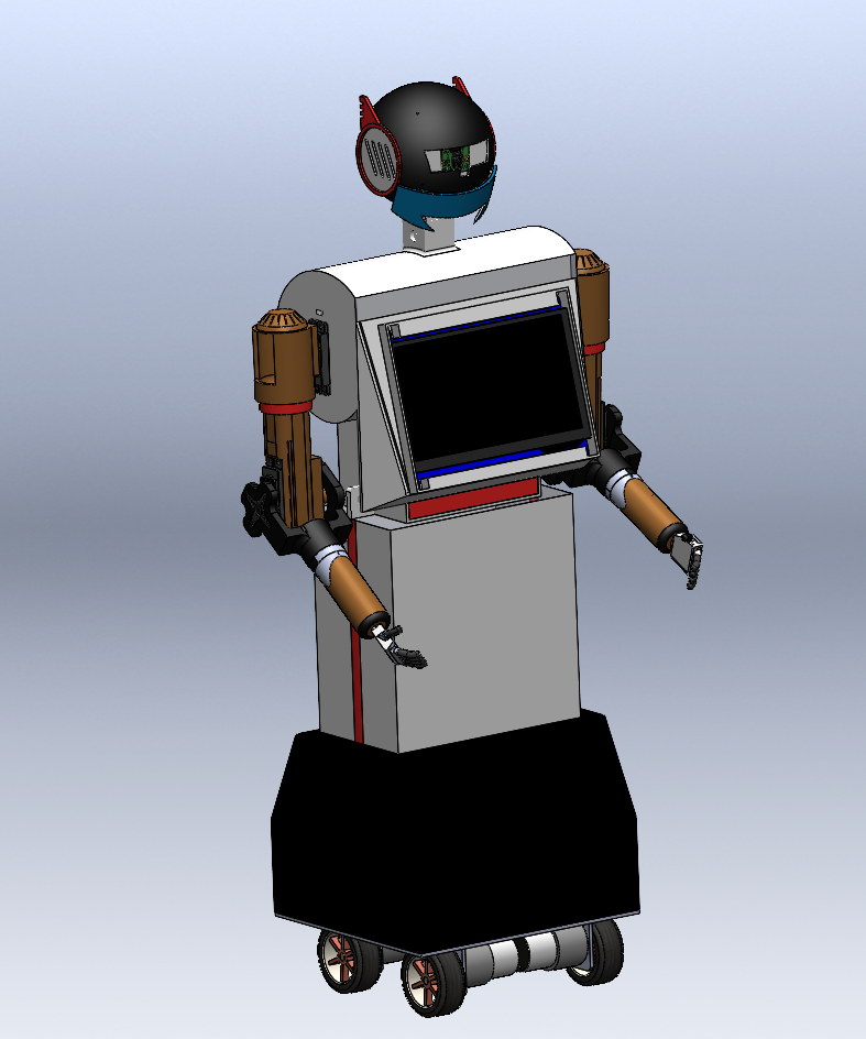 Humanoid Robot